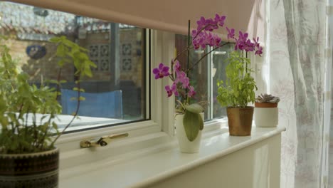 hand placing a plant next to a window in a modern house