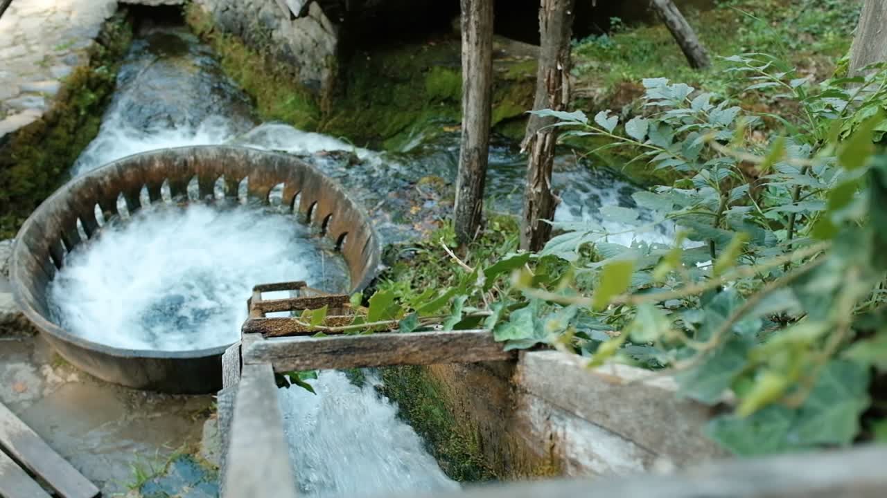 불가리아 낮잠 밀