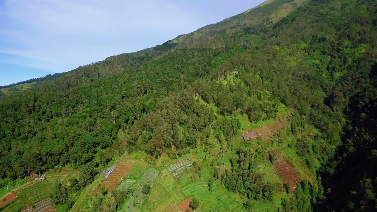 revele una toma de drones con vista a la exuberante plantación y al bosque en la ladera de la montaña, vista al hermoso paisaje tropical - montaña sumergida, indonesia