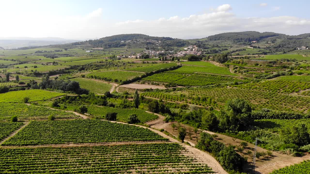 Aerea: paese tra verdi vigneti.