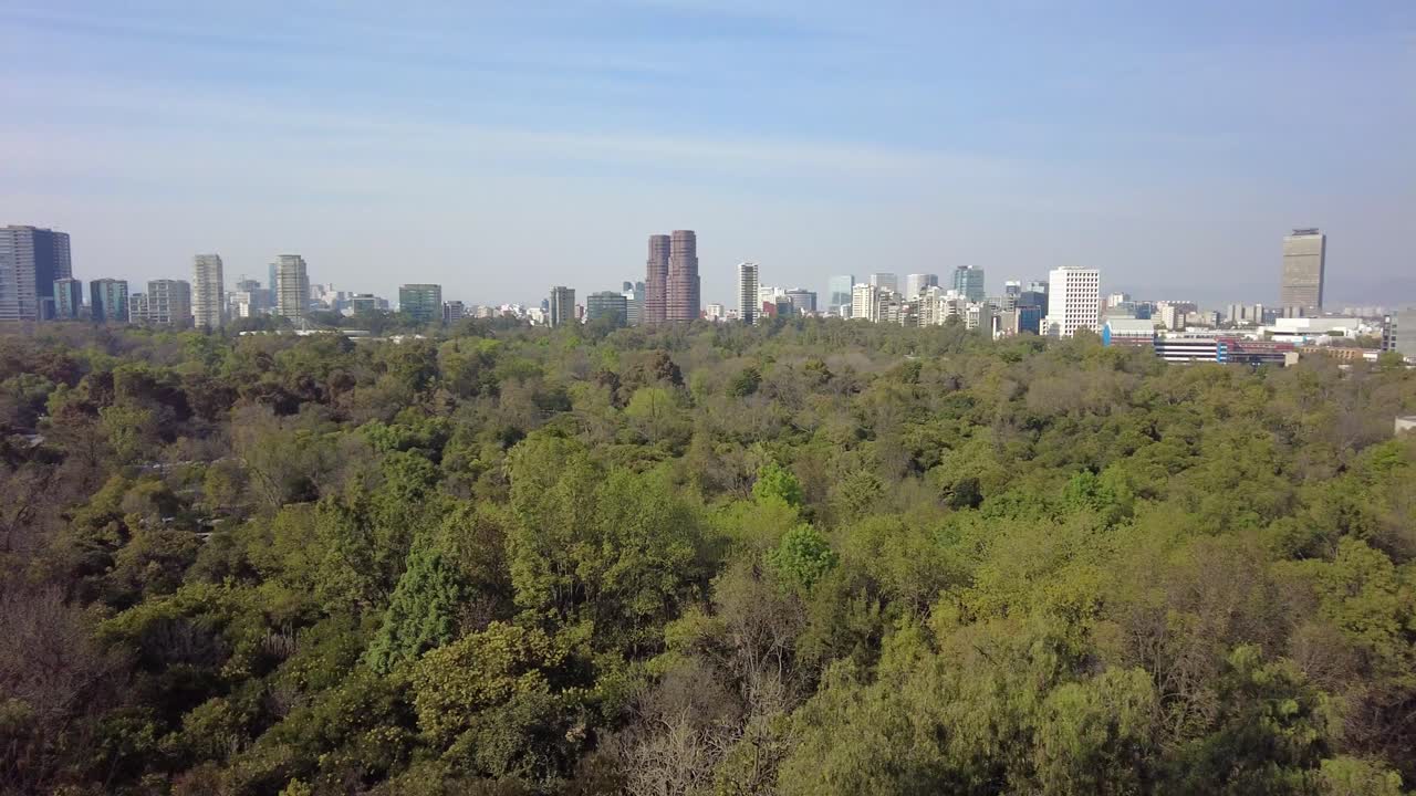 una vista impresionante de una exuberante vegetación de un bosque impresionante y una metrópolis bulliciosa en la distancia