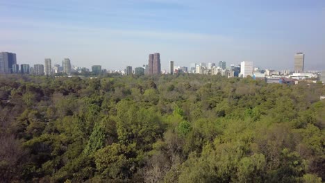 una vista impresionante de una exuberante vegetación de un bosque impresionante y una metrópolis bulliciosa en la distancia