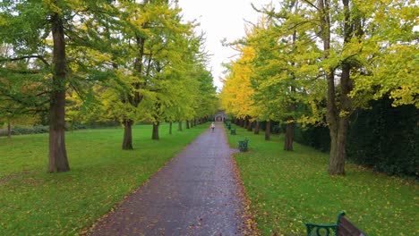 Junge-Schwangere-Frau,-Ausübung-Lokalen-Stadtpark,-Gesunde-Routine,-Luft