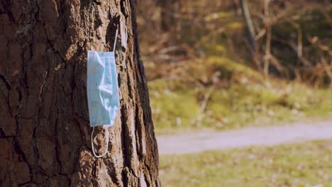 Surgical-mask-hanging-with-tree-bark-in-a-sunny-weather,-panning-shot