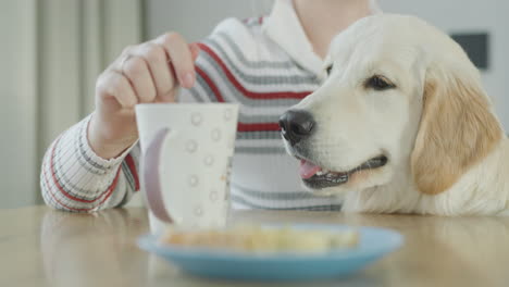 woman with her dog having breakfast