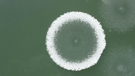 circle shape frost on green lake winter background natural geometry