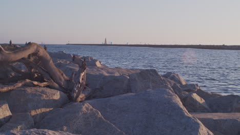 Distant-sailboats-with-a-foreground-fallen-tree