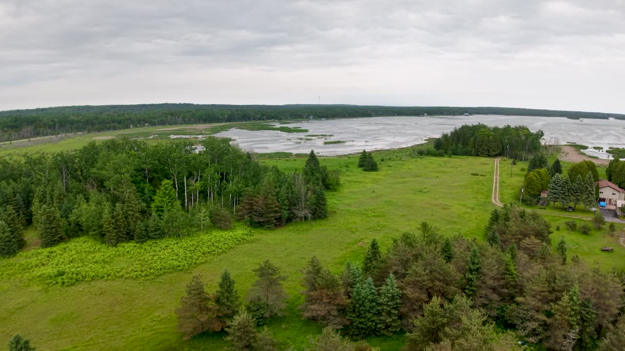 Aerial drone view of a lush green forest landscape meeting the shoreline under a cloudy sky