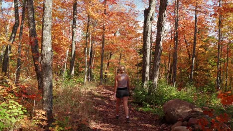 Luftaufnahmen,-Mädchen-In-Fitnesskleidung,-Die-Draußen-Im-Roten-Herbstbaumwald-Spazieren-Gehen