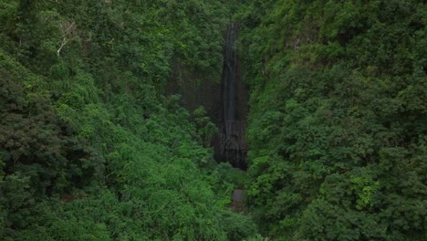 hidden waterfall in lush tropical jungle