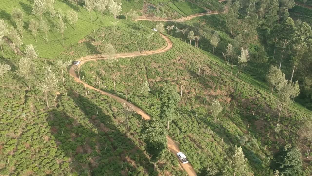 Aerial Over Road Winding Through Tea Plantation In Sri Lanka. Follow Shot