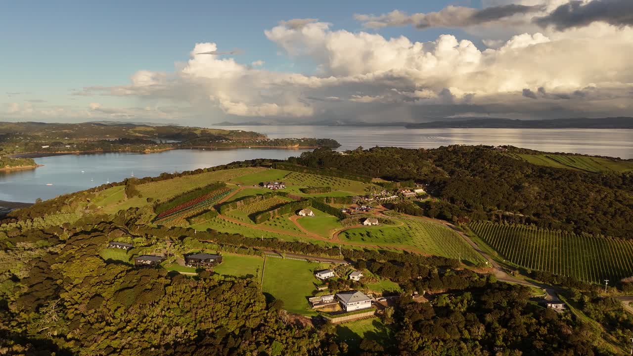 Sunset light illuminates vineyards and luxury houses on hilltop, with stunning ocean backdrop, Waiheke Island, New Zealand. Aerial drone