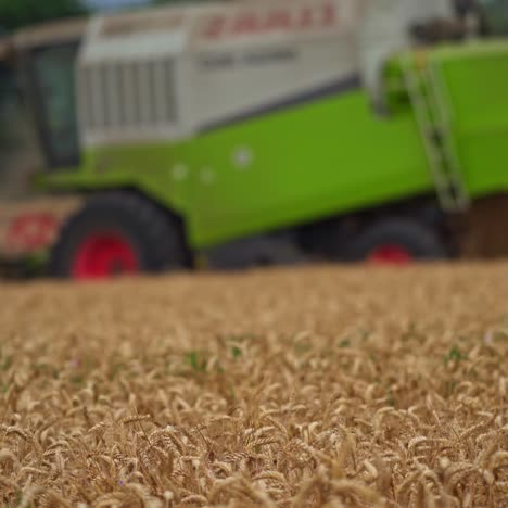 harvester working in the field. a special technique cuts the finished wheat