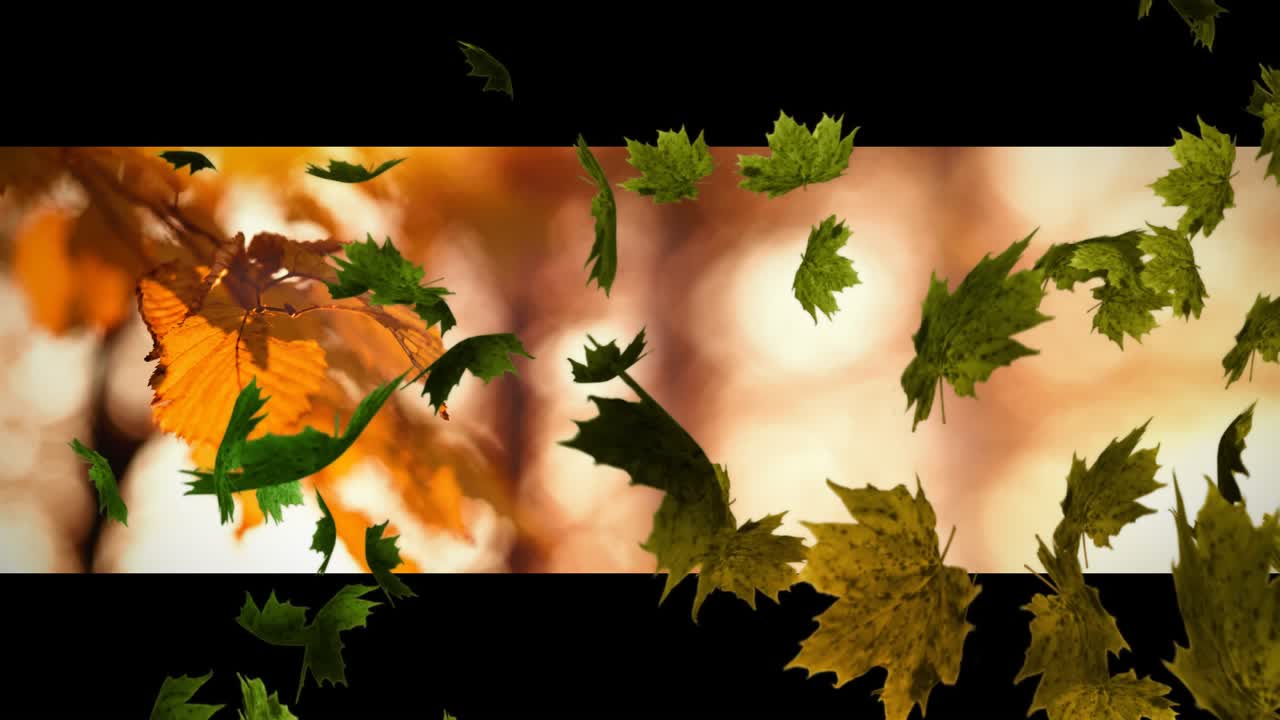 Gentle breeze pushing green yellow leaves swirling drifting past autumn branch framed by black bars