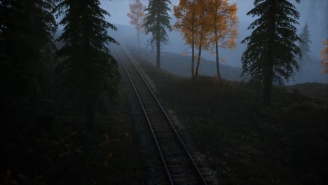 national forest recreation area and the fog with railway