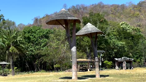 ostriches roam in a natural zoo setting