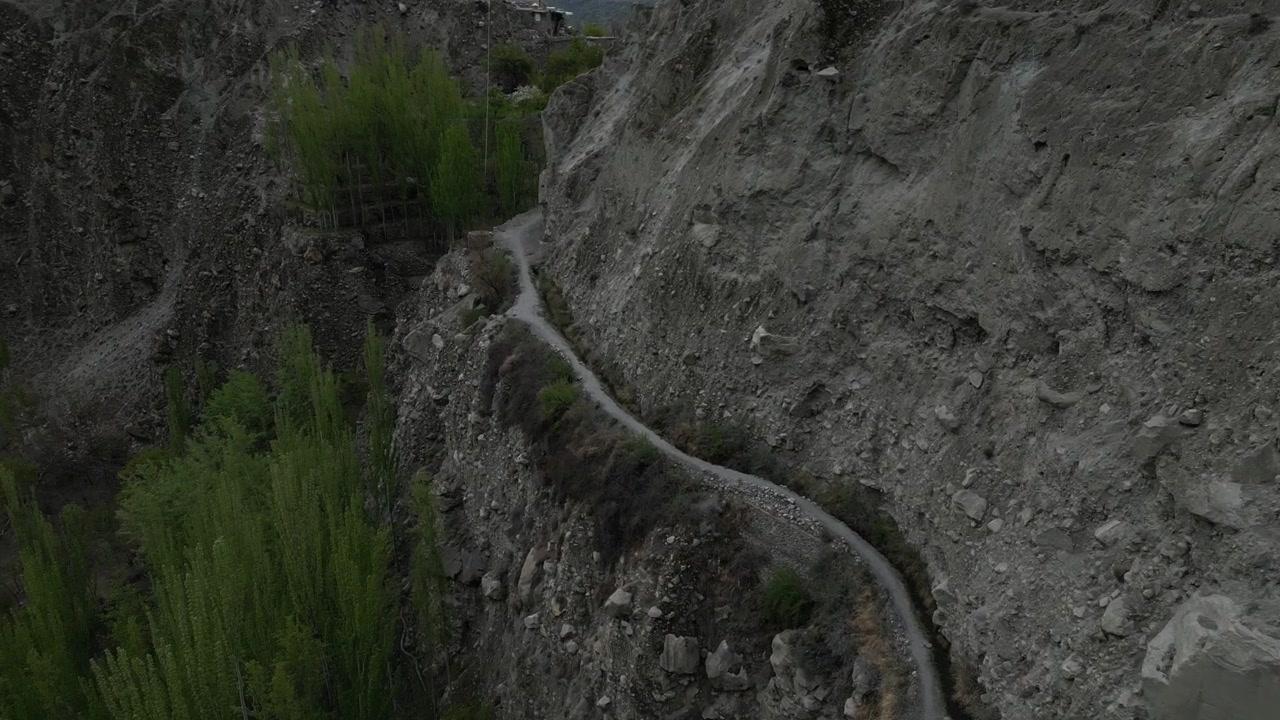 Aerial drone view of a dangerous, narrow dirt trail carved into a steep rocky cliff edge overlooking vibrant green trees in Karimabad Glacier Valley, Pakistan.