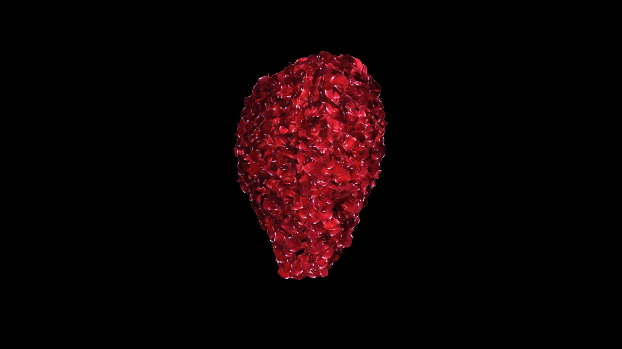 Fixated heart animation of red rose petals