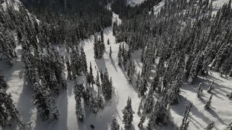 Aerial-view-of-snowboarders-and-skiers-going-down-a-trail-from-a-large-wide-angle