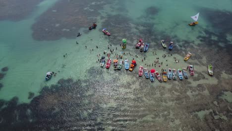 tourist group exploring colorful reefs offshore from famous brazilian city