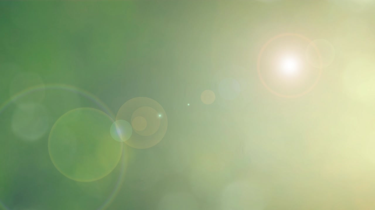 초록색 잎과 보케 조명이 있는 추상적인 자연 배경