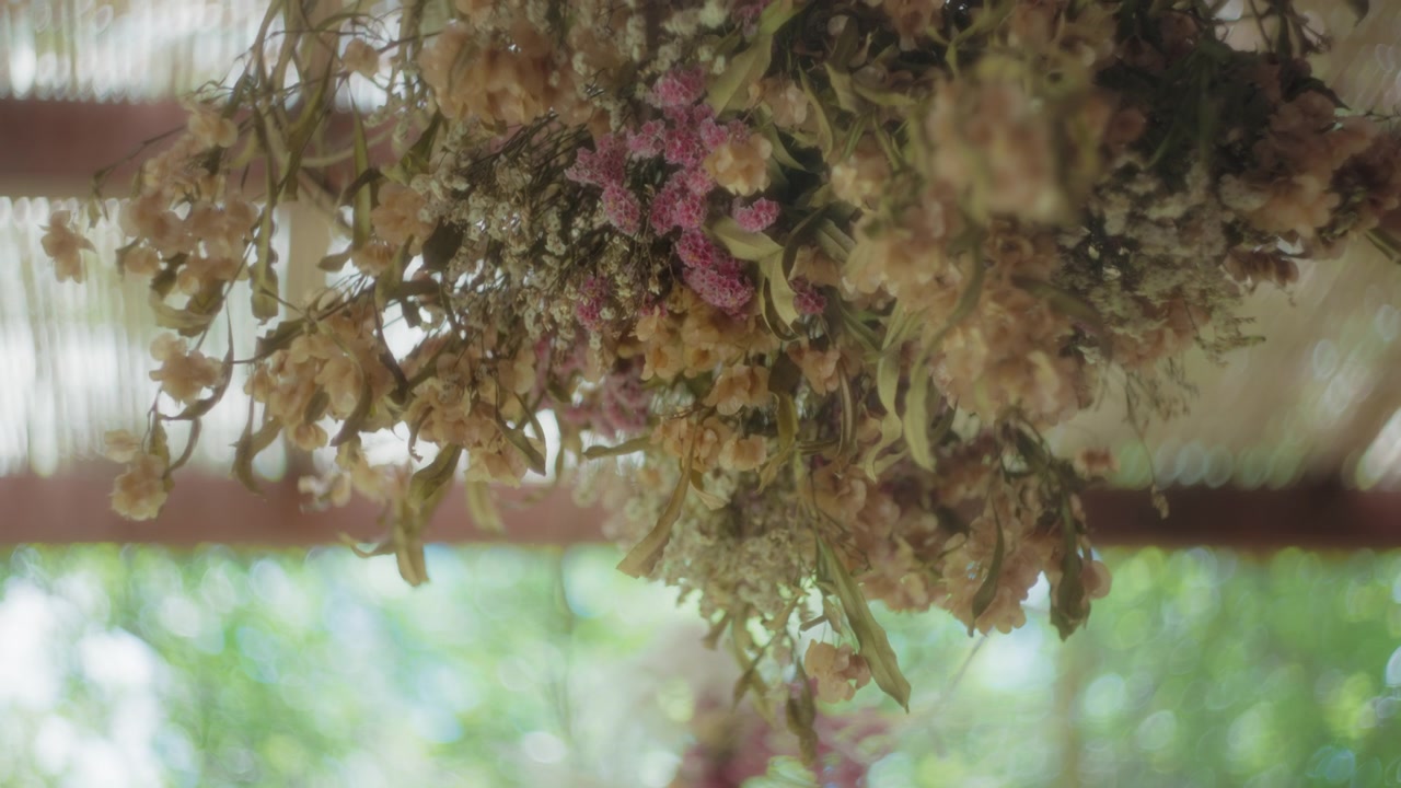 Fiori secchi appesi al soffitto