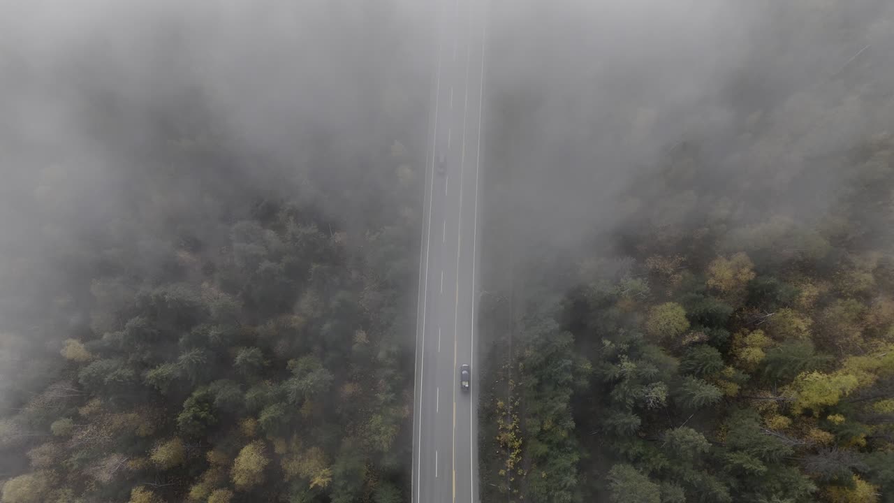가을의 화려함 속에서 안개로 인 고속도로 24의 공중 촬영