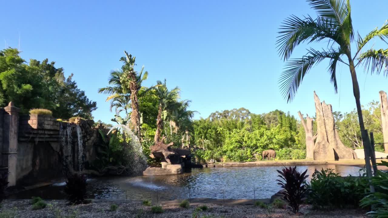 elefantes en su hábitat natural del zoológico
