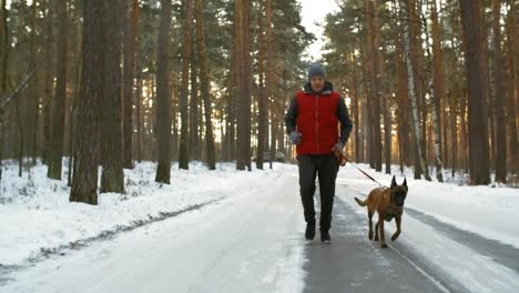 hombre activo de mediana edad corriendo en un camino nevado en el bosque con un perro pastor belga en un día de invierno