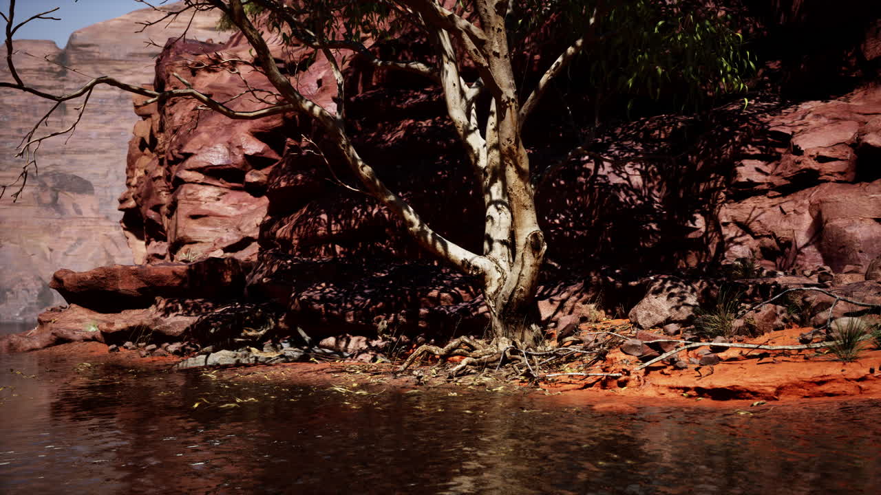 río de montaña y coloridas montañas de colorado