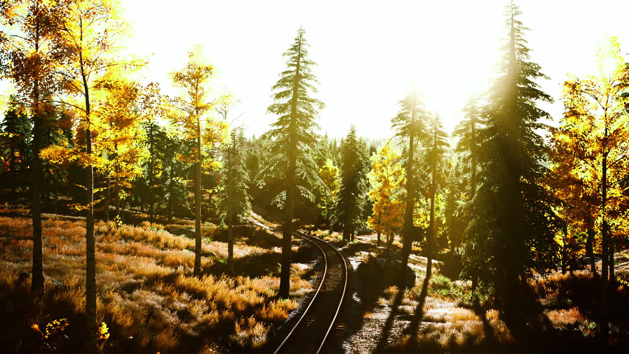 숲 속의 가을 철도