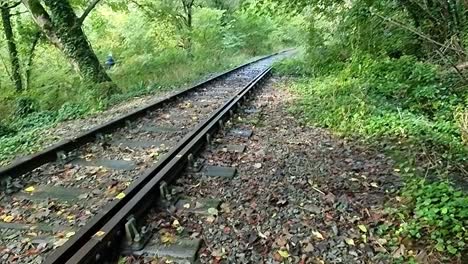 rusted unused iron railroad covered in fall coloured leaves in woodland forest