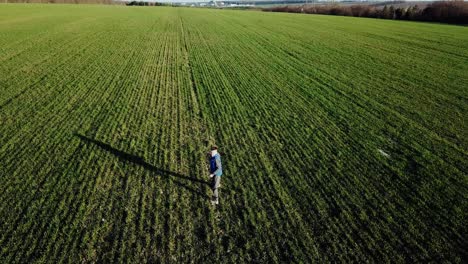 Boy is running on the green field of wheat. Happy kid running on beautiful field