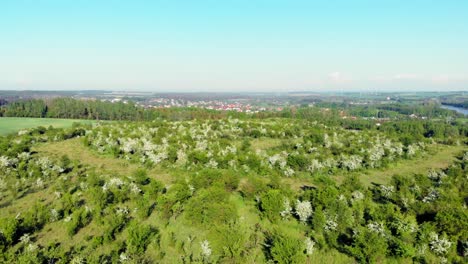 aerial shot of a meadow in pomeranian district in poland