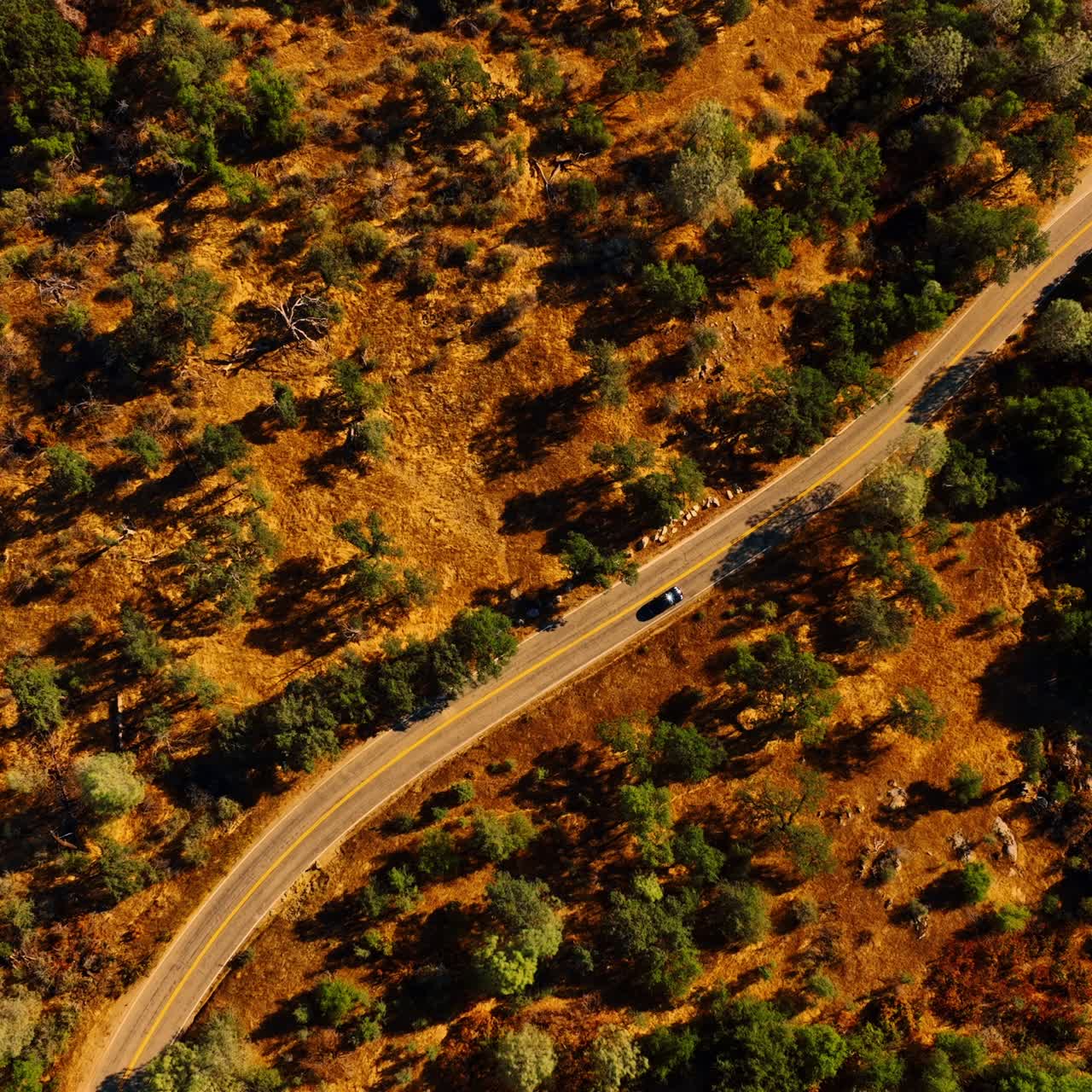 Tourism mountain aerial scenic. Summer sierra american national forest