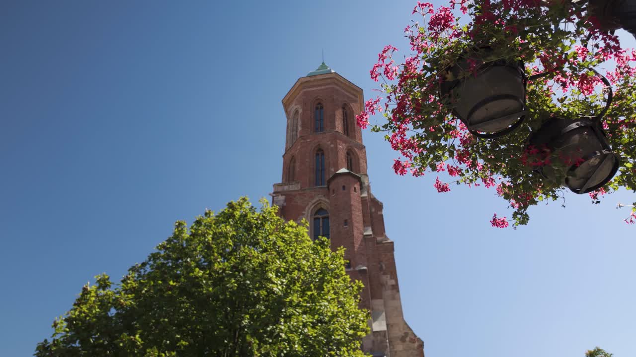 Pink flowers and green trees frame the historic Church of Saint Mary Magdalene tower against a vibrant blue sky in Budapest, Hungary