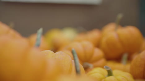 Enfoque-De-Estante-Hacia-Abajo-Un-Montón-De-Calabazas-Pequeñas-Apiladas-Una-Encima-De-La-Otra