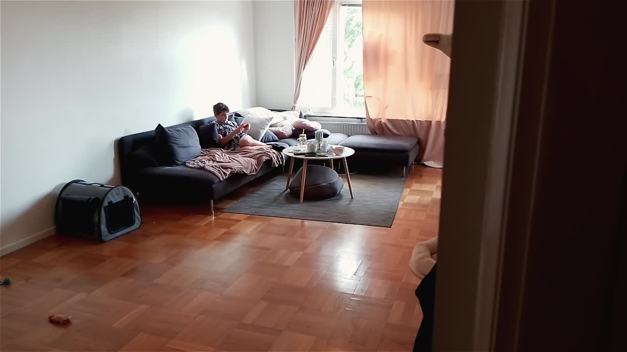 소년은 게임용 컨트롤러를 사용하여 닌텐도 스위치에서 비디오 게임을 합니다.