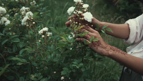 woman with henna tattoo inspecting white roses