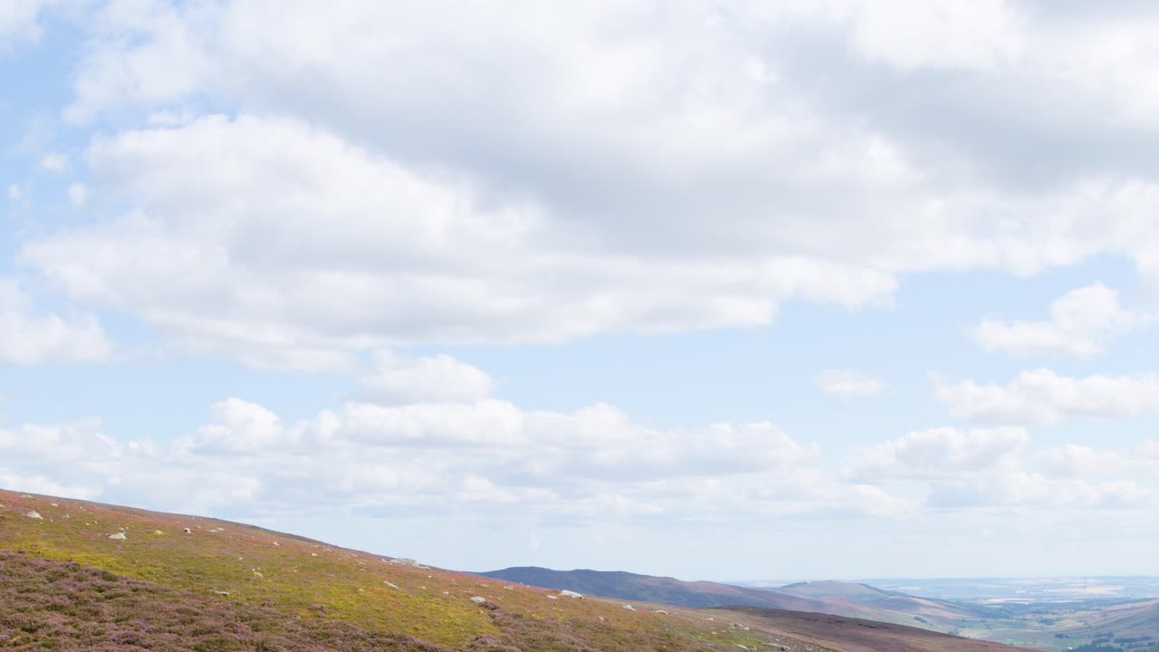 Camera pans across heather-covered hillside, revealing expansive Scottish highland landscape under daylight