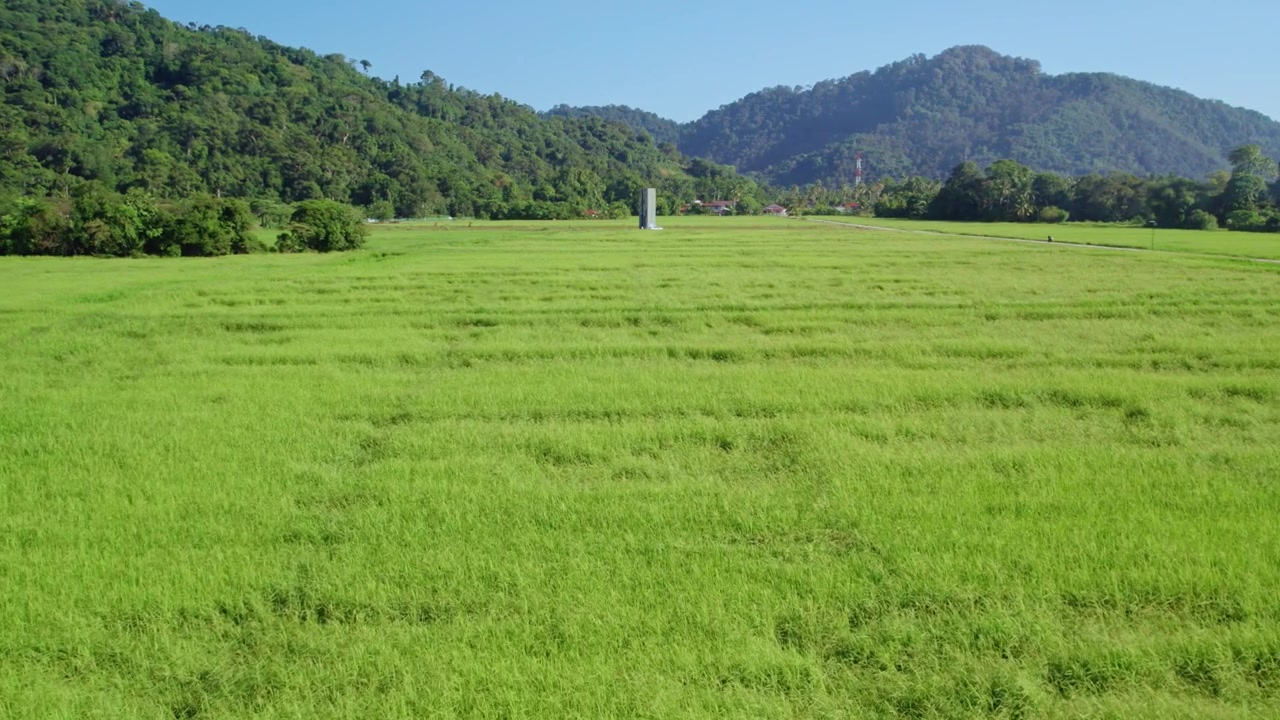 Smooth cinematic drone push forward across expansive green rice paddy fields surrounded by lush tropical mountains.