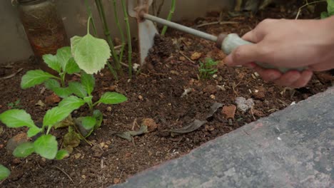 Hand holding a fork tool to dig soil in a small garden