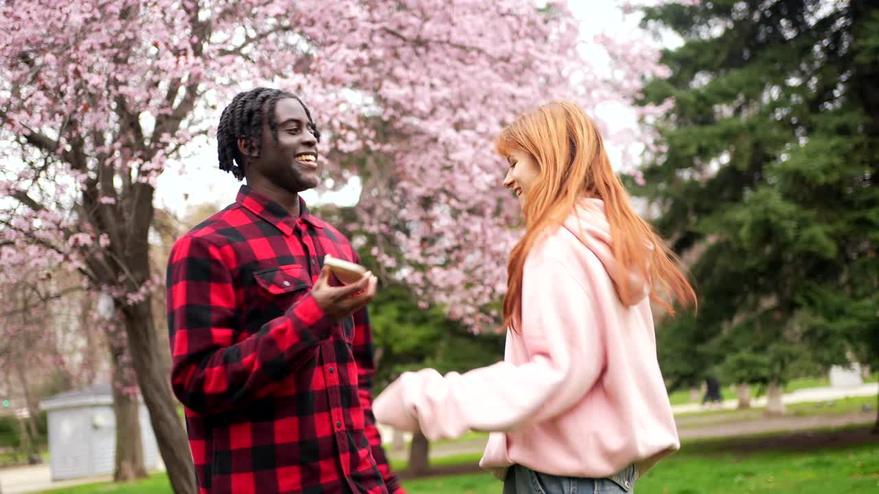 A Couple Enjoying Springtime Under Cherry Blossoms