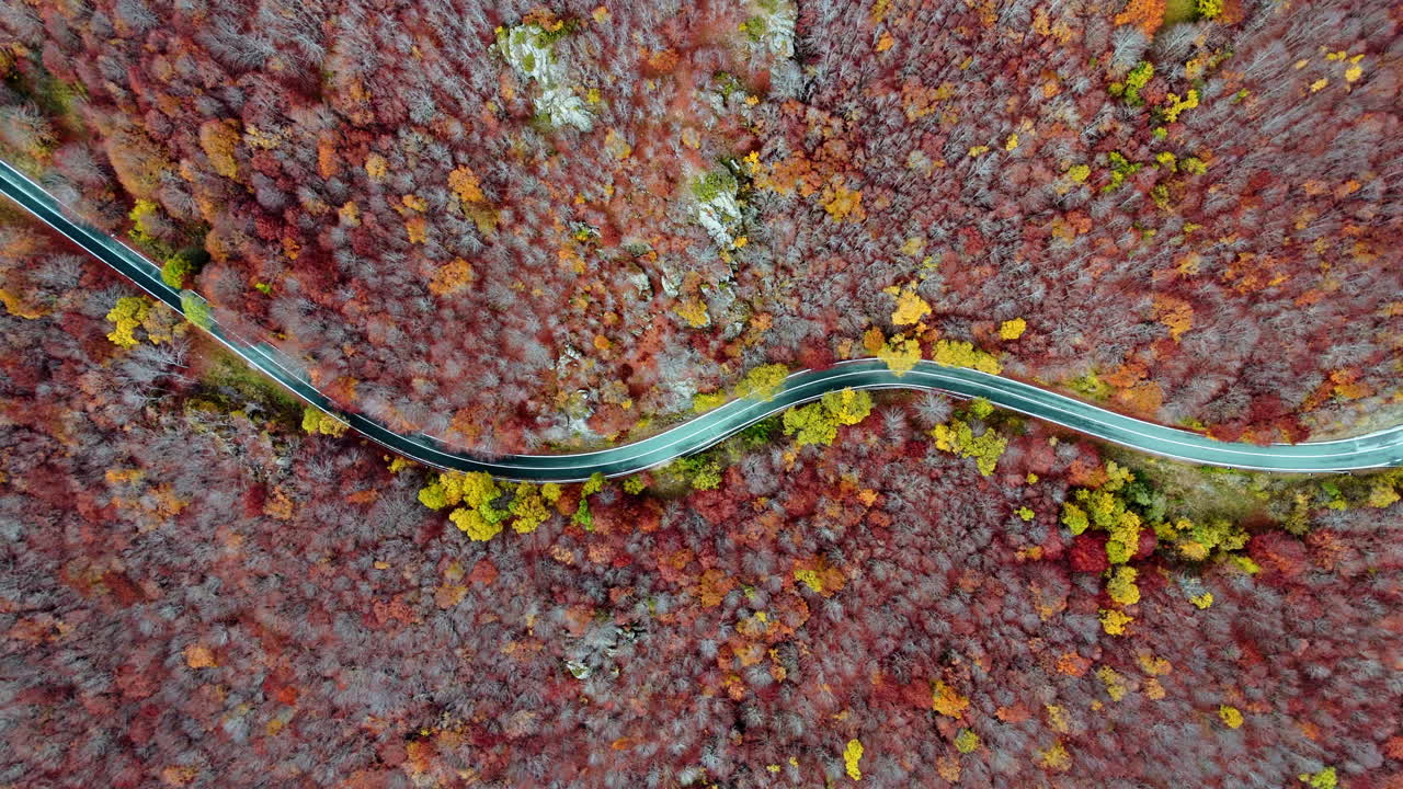 Aerial view of winding road through vibrant autumn forest colors