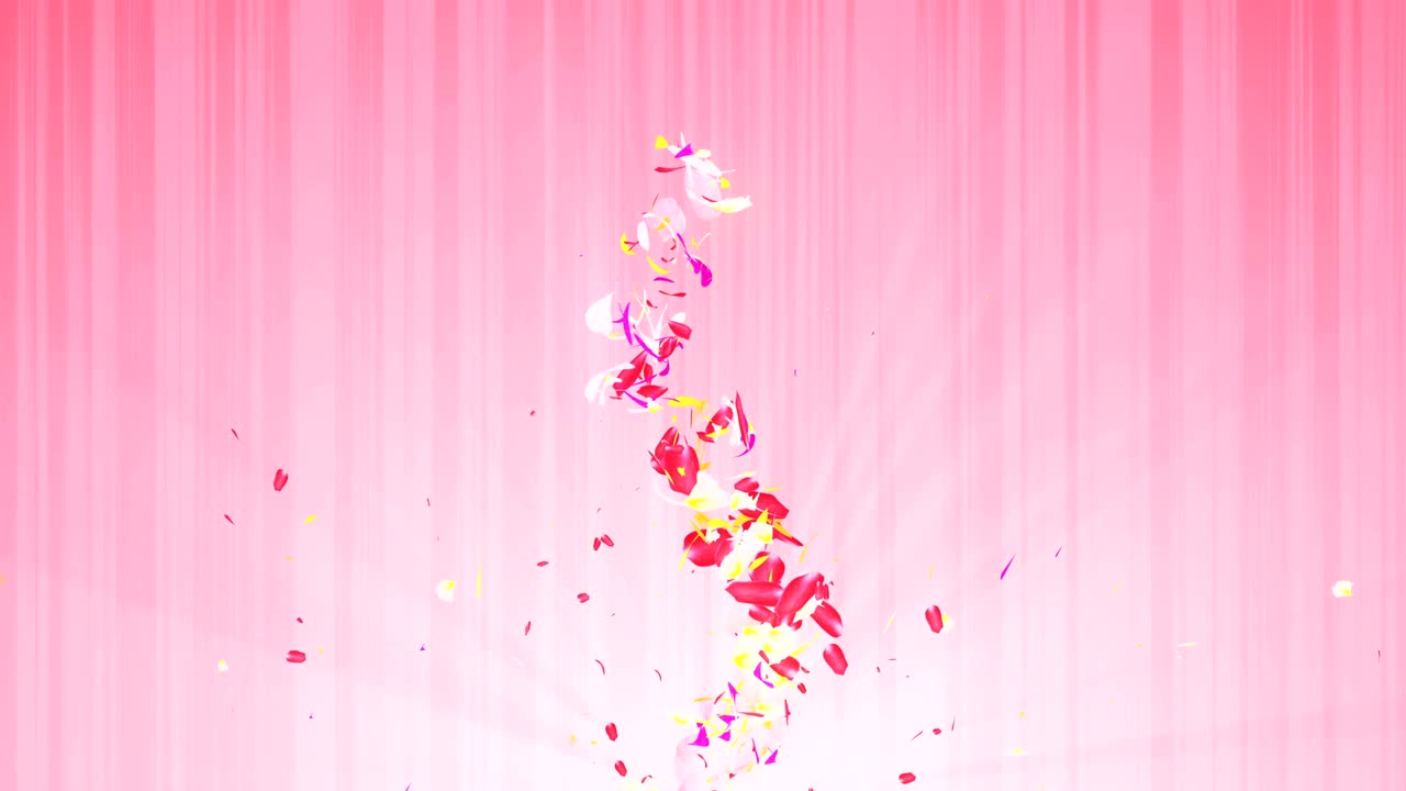 화려한 잎자루, 나선형 반이는 꽃잎, 꽃 모양, 예쁜 춤추는 꽃잎, 회전하는 꽃잎에서 소용돌이, 추상적인 루프 애니메이션.