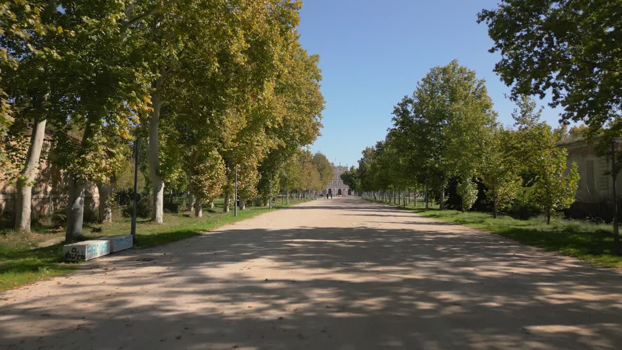 Vuelo de dron sobre el camino de los Coroneles, hecho de tierra blanca y con hileras de grandes plátanos de sombra (Platanus hispanica) a los lados; al fondo vemos el Palacio Real de Aranjuez.