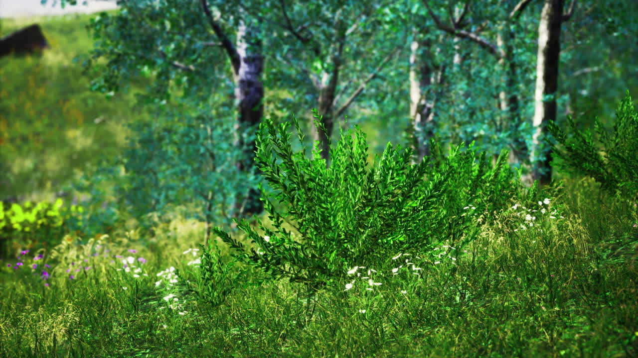 Lush green foliage and wildflowers thrive in a vibrant forest landscape