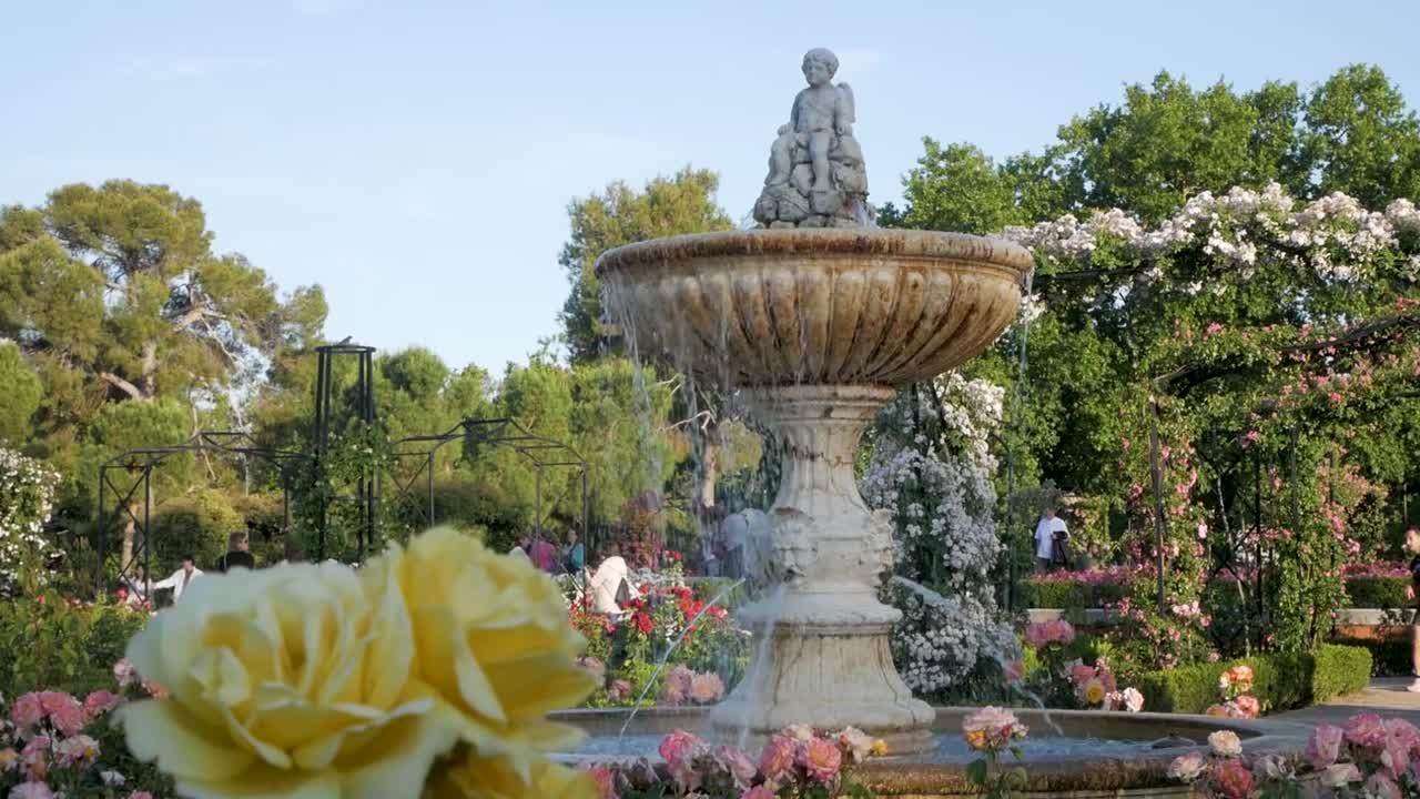 Man jogging by a fountain in La Rosaleda Garden. Active outdoor scene with a peaceful garden view.
