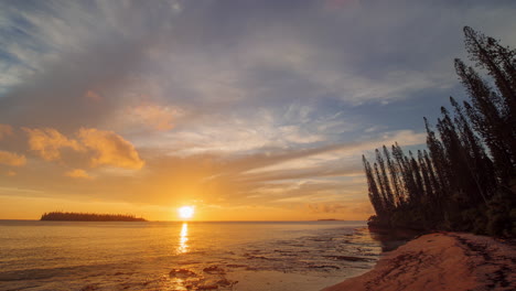 Time-lapse-of-Columnar-pines-and-the-setting-sun,-behind-clouds-and-above-sea