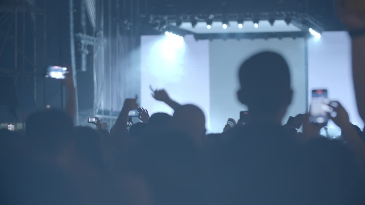 Luci stroboscopiche e fan della musica entusiasti al concerto
